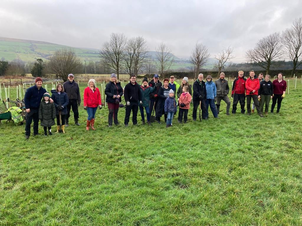Tree Planting