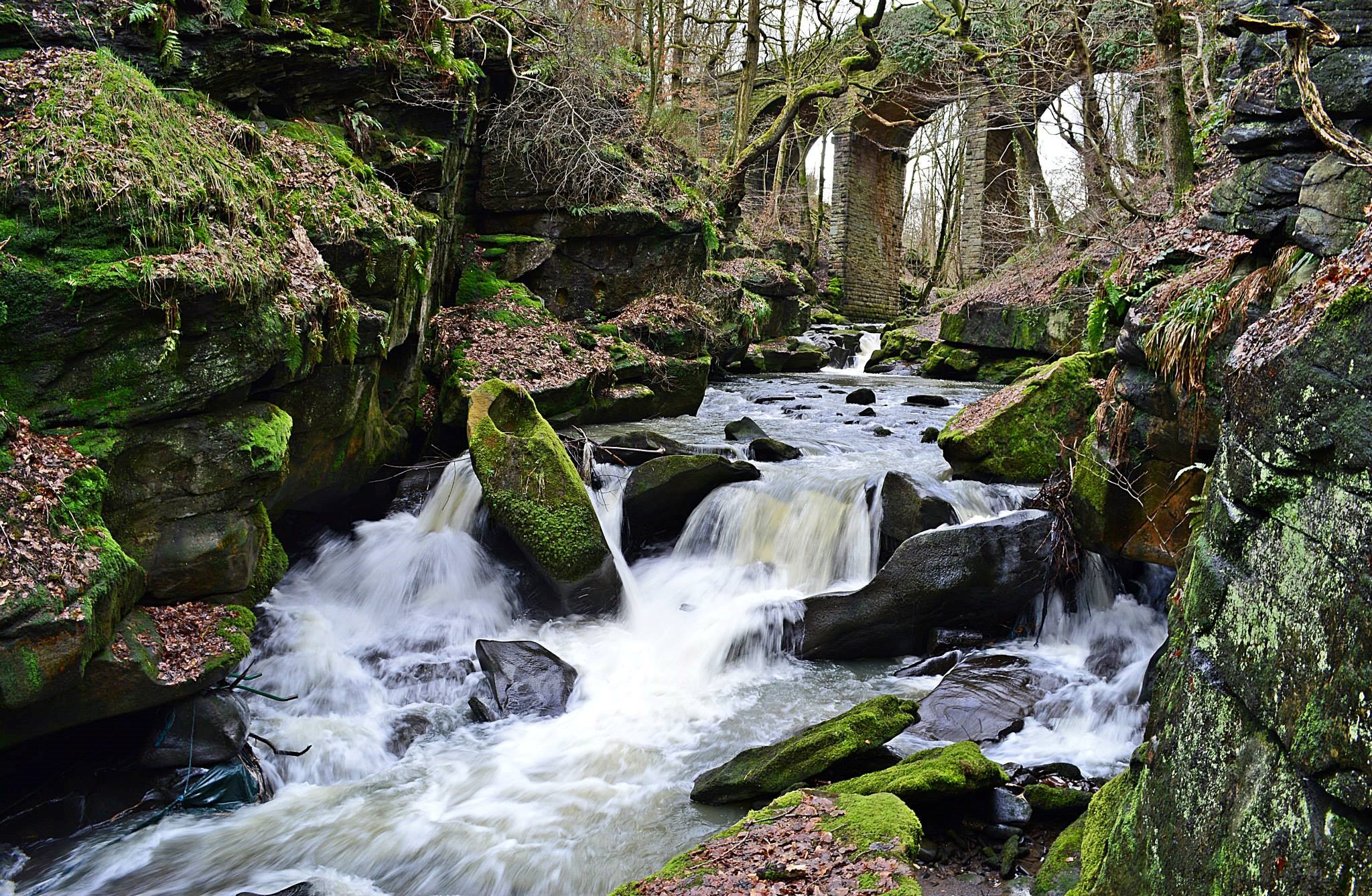 Healey Dell