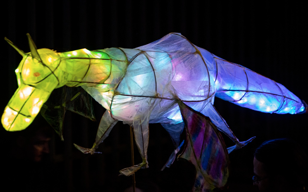 Lantern Parade Image