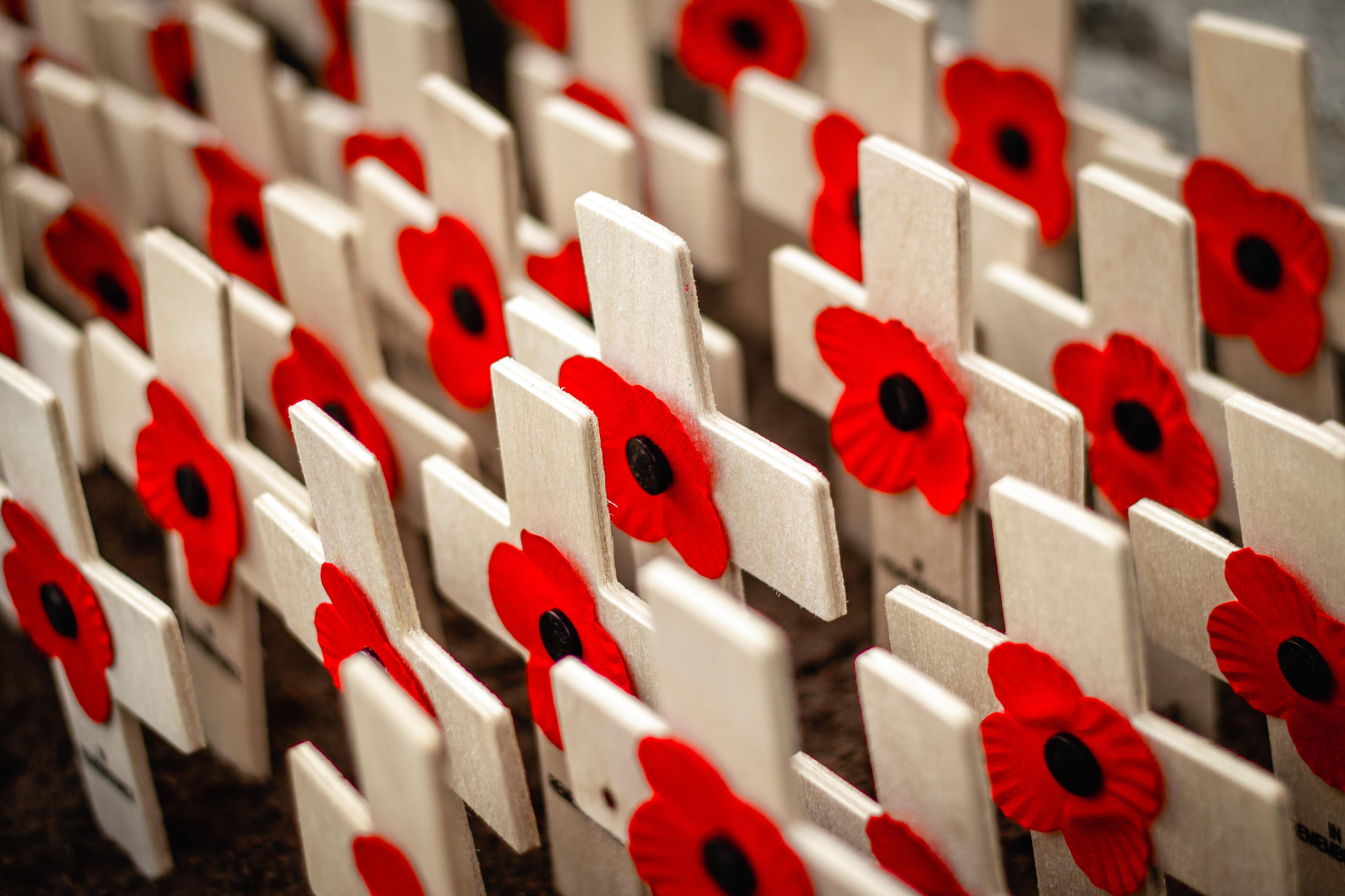 A sequence of red poppies on crosses